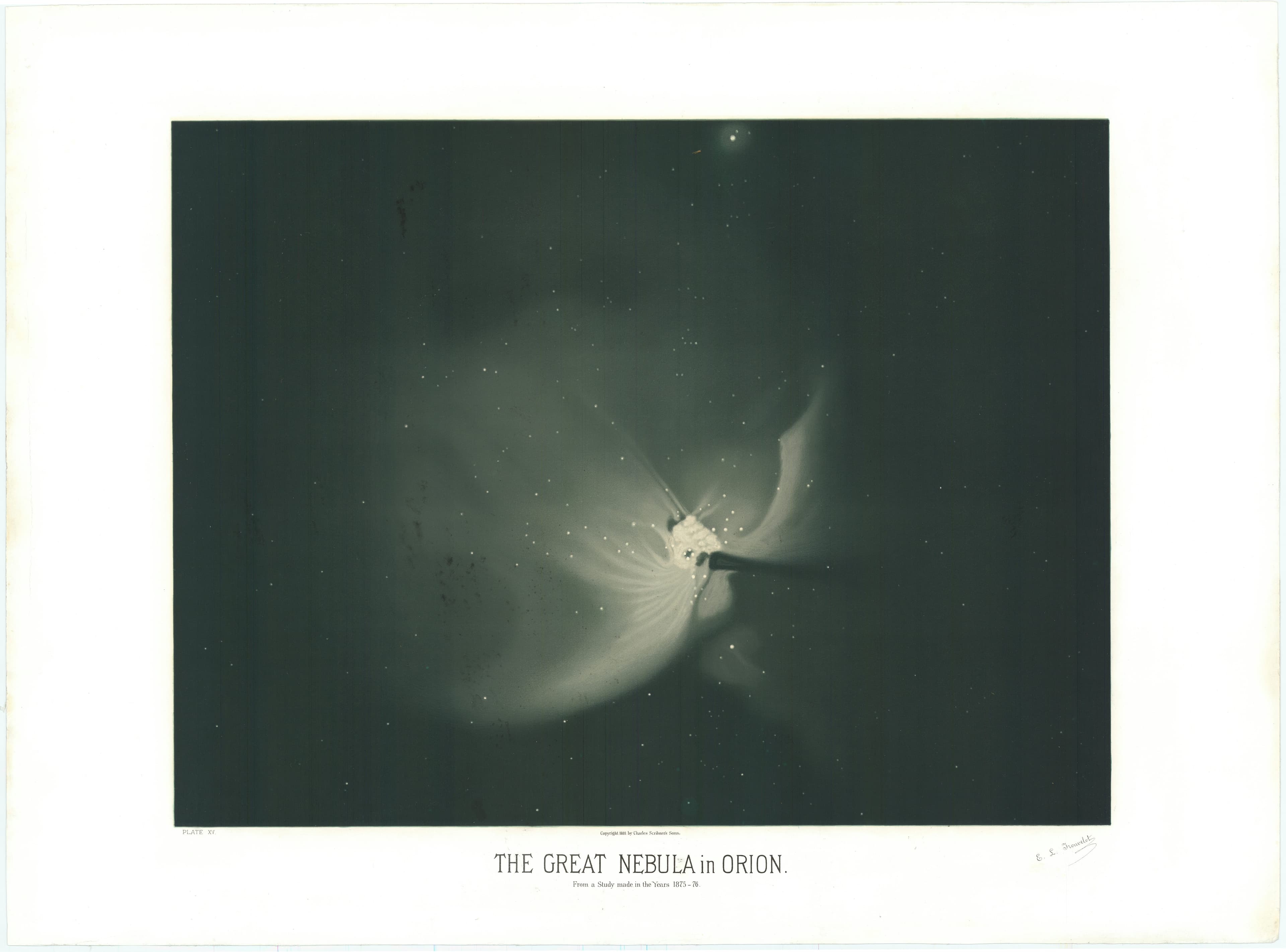 The Great Nebula of Orion — The Great Nebula in Orion, from The Trouvelot Astronomical Drawings, Étienne Léopold Trouvelot, 1882