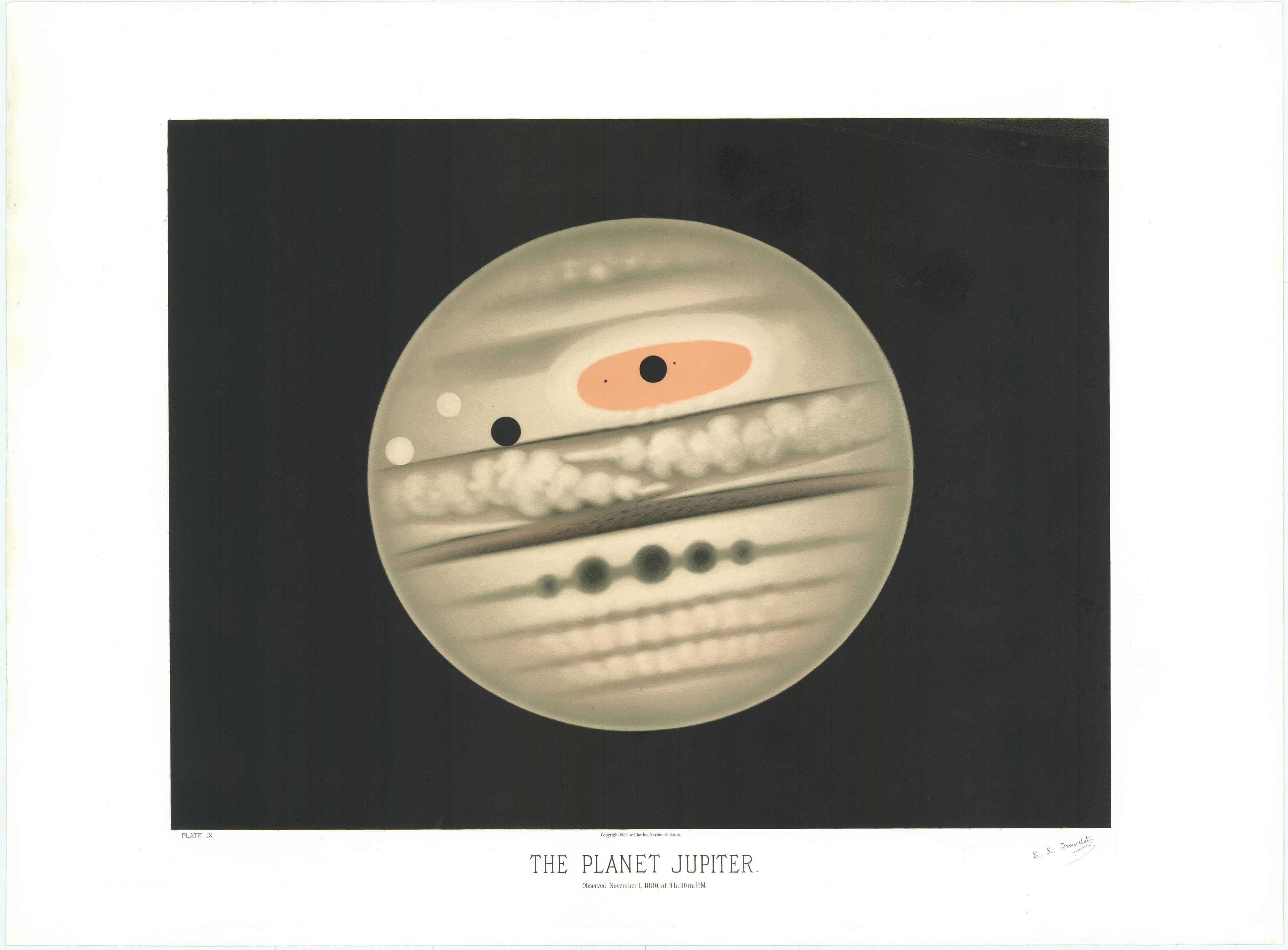The Planet Jupiter — The Planet Jupiter, from The Trouvelot Astronomical Drawings, Étienne Léopold Trouvelot, 1882